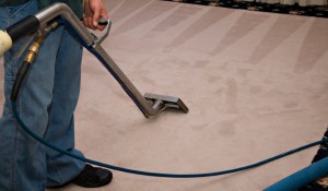 Carpet Cleaning